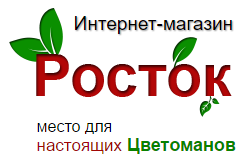 Интернет-магазин Росток